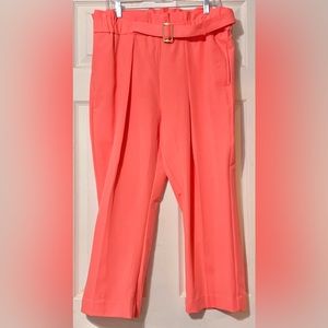 NEW Worthington SZ PL Pink Pants